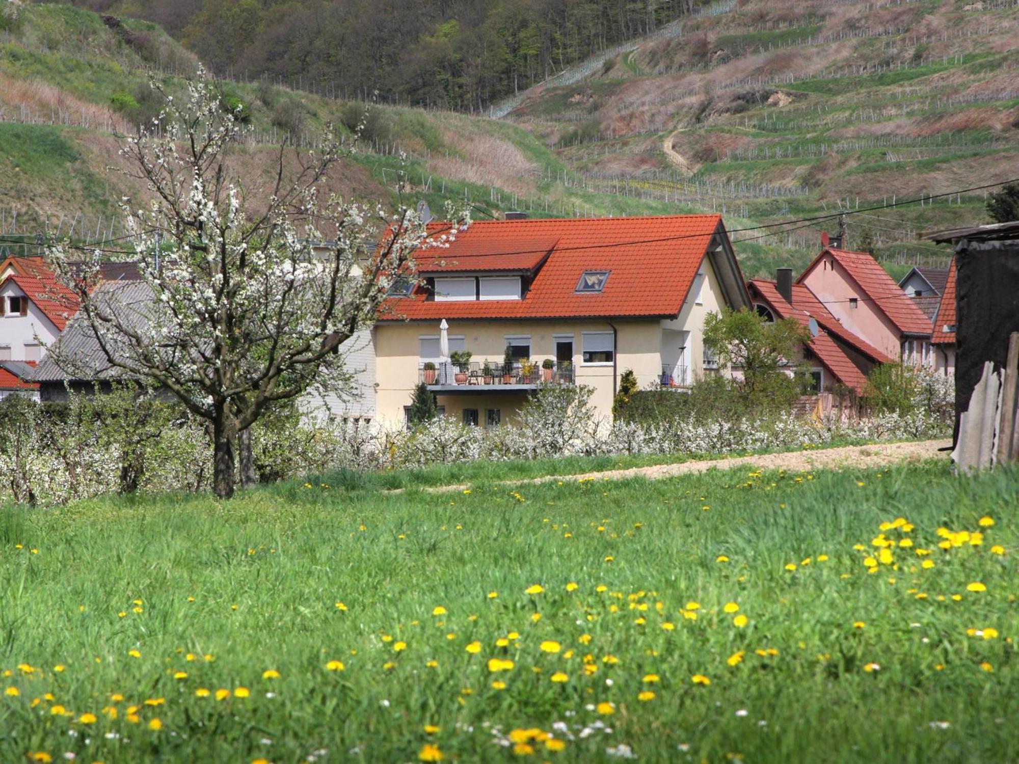 Ferienwohnung Graf โฟกท์สบวร์ก ภายนอก รูปภาพ